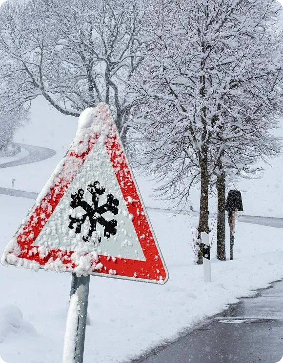 Winter losses