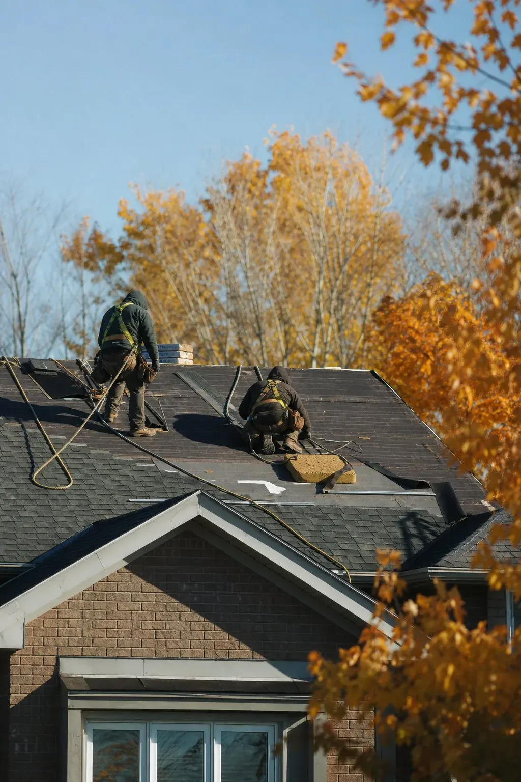 Roofers in safety harnesses installing shingles on a residential roof in Ontario